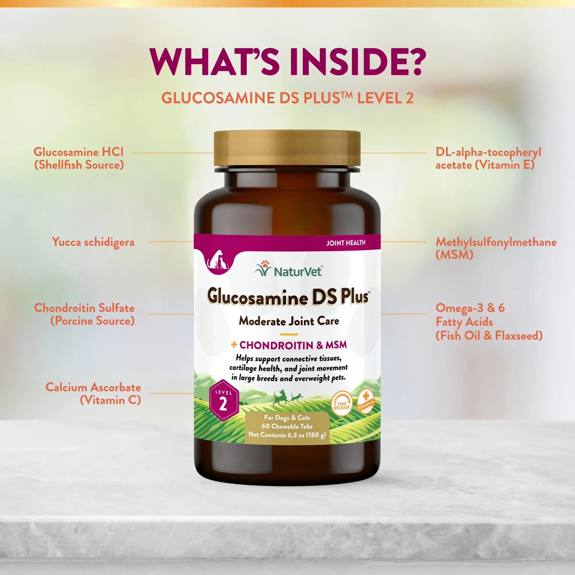 NaturVet Glucosamine DS Plus Level 2 Chewable Tablets