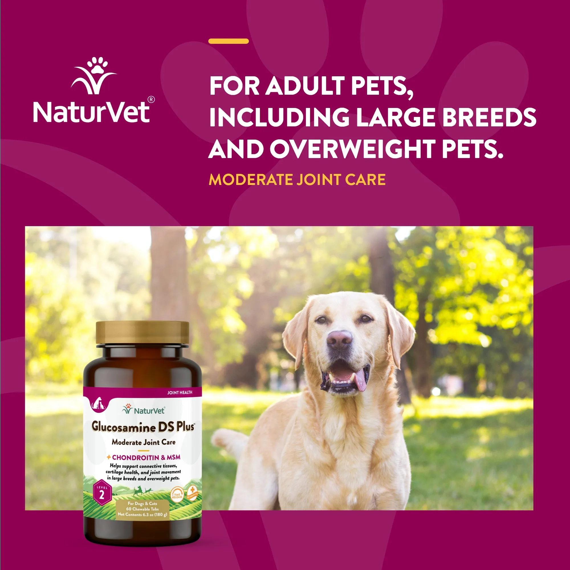NaturVet Glucosamine DS Plus Level 2 Chewable Tablets