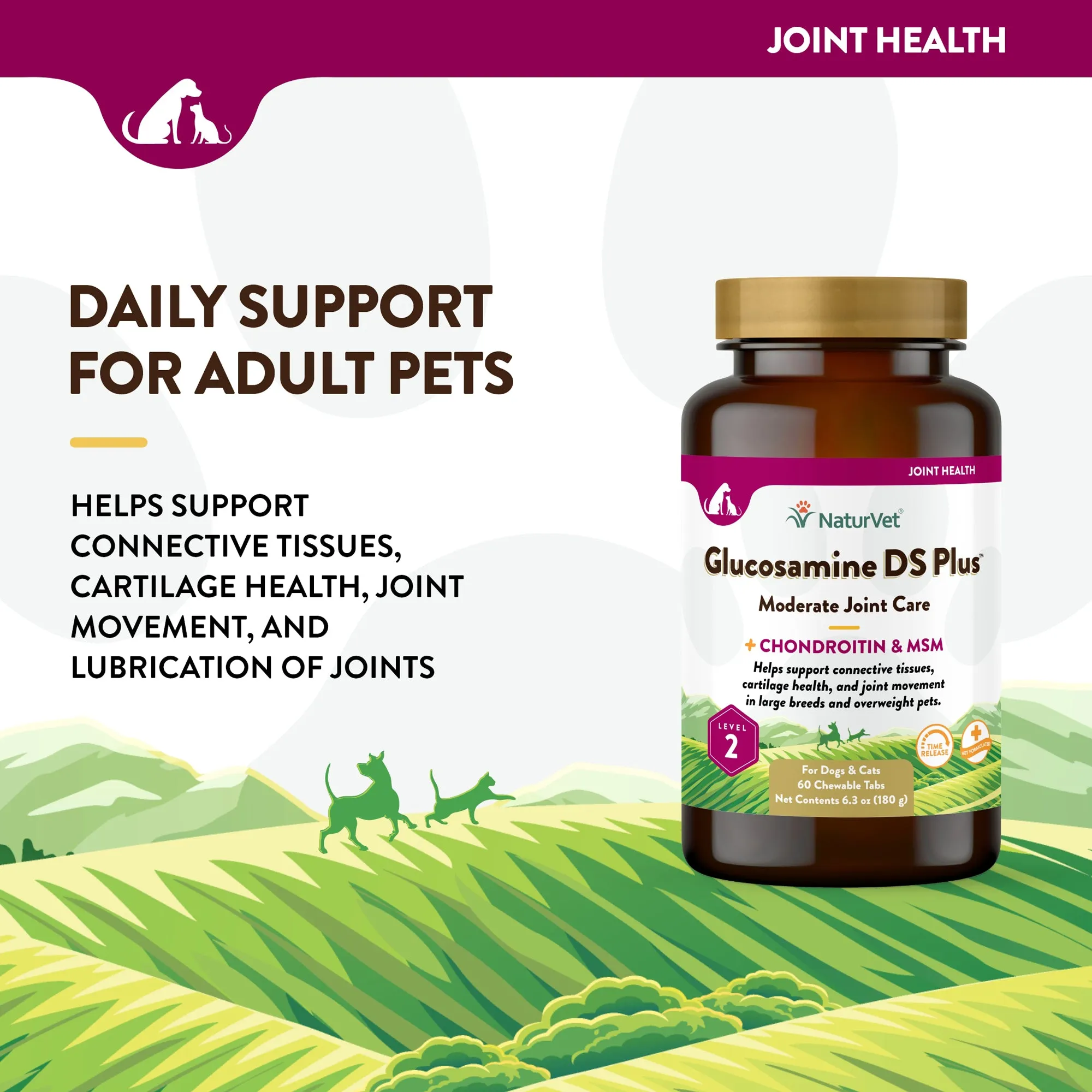 NaturVet Glucosamine DS Plus Level 2 Chewable Tablets