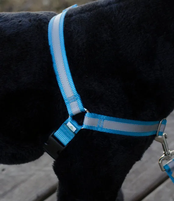 No-Pull Dog Harness | Solid or Reflective | 20 colors
