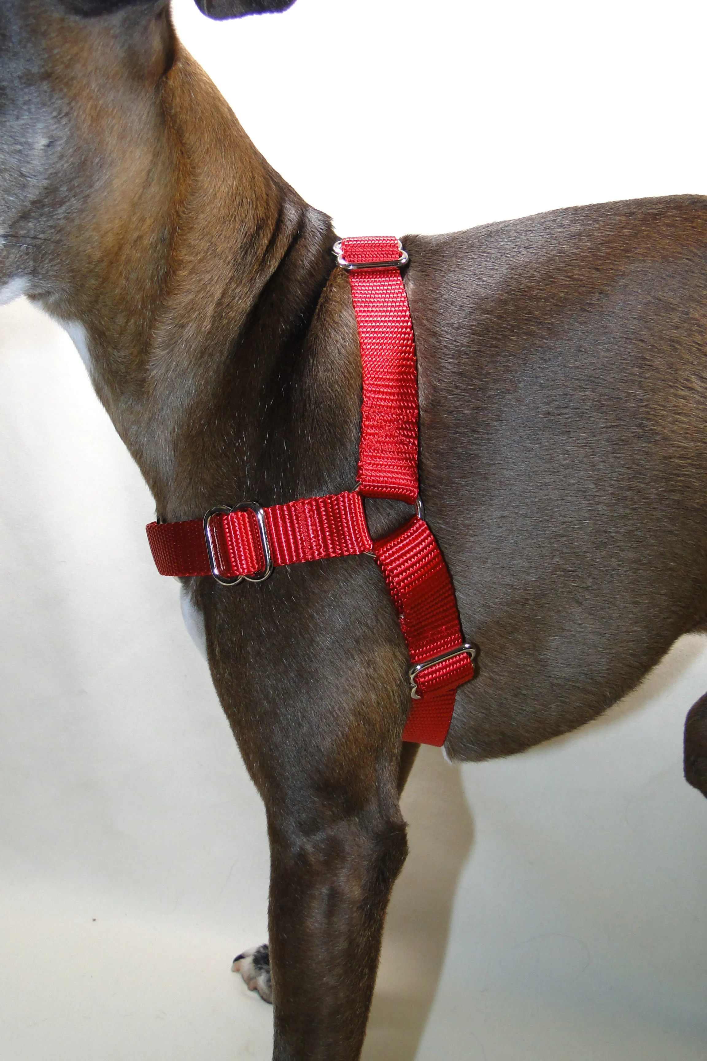 No-Pull Dog Harness | Solid or Reflective | 20 colors