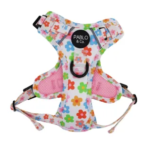 Pablo & Co Posey No Pull Harness