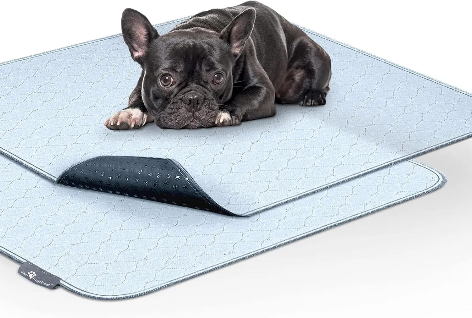 Paw Inspired Washable Pee Pads for Dogs (2 Pack) | Leakproof, Non-Slip Reusable Puppy Pads for Potty Training, Whelping, Waterproof Mat (34x36 Size, Pack of 2)