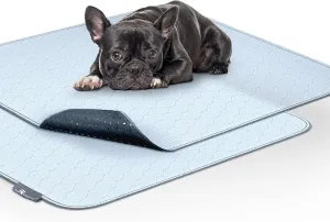 Paw Inspired Washable Pee Pads for Dogs (2 Pack) | Leakproof, Non-Slip Reusable Puppy Pads for Potty Training, Whelping, Waterproof Mat (34x36 Size, Pack of 2)