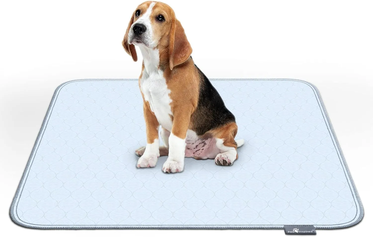 Paw Inspired Washable Pee Pads for Dogs (2 Pack) | Leakproof, Non-Slip Reusable Puppy Pads for Potty Training, Whelping, Waterproof Mat (34x36 Size, Pack of 2)