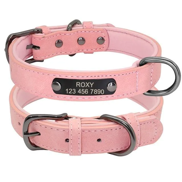 Personalized Leather Pet Collar