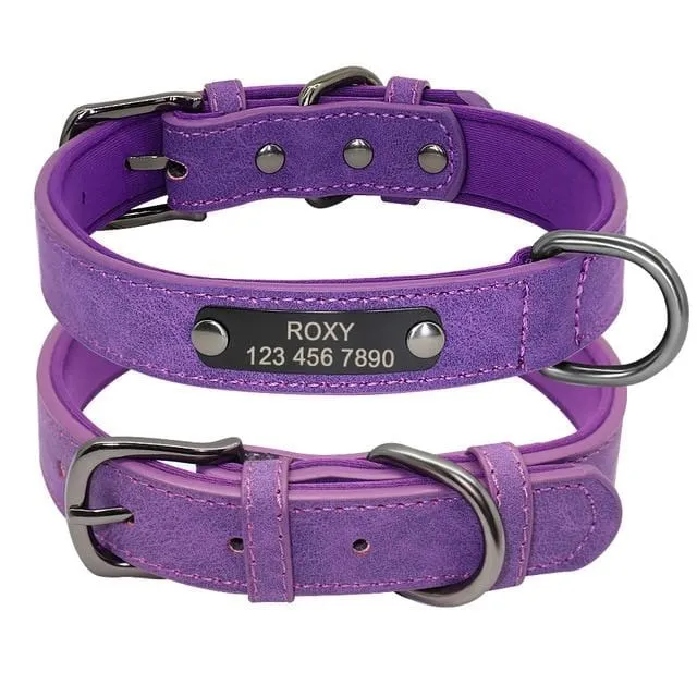 Personalized Leather Pet Collar