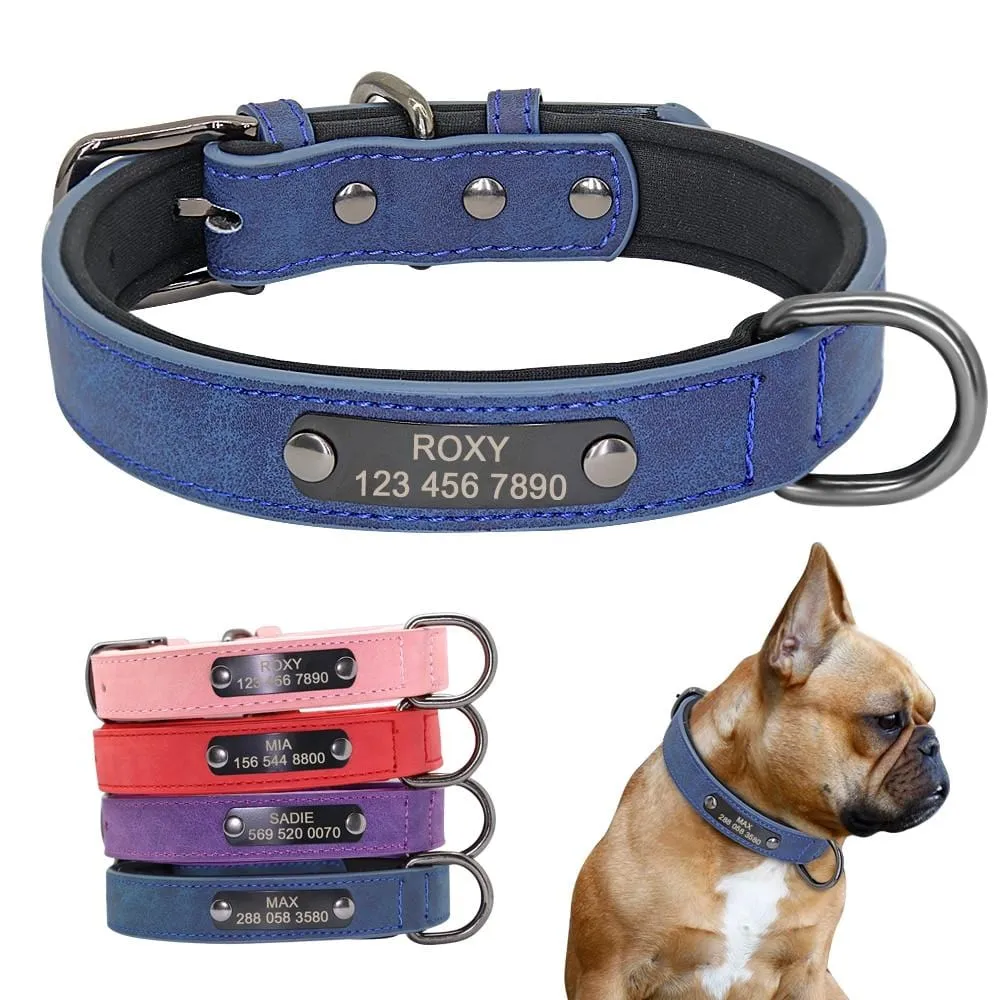 Personalized Leather Pet Collar