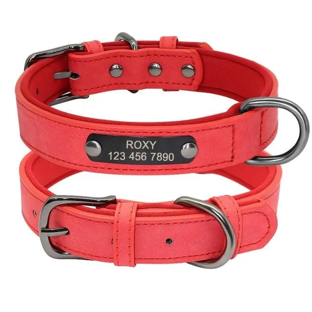Personalized Leather Pet Collar