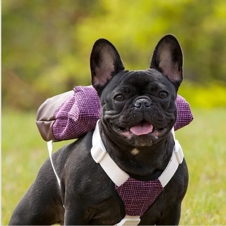 Pet Adjustable Harness Backpack