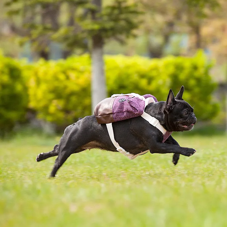 Pet Adjustable Harness Backpack