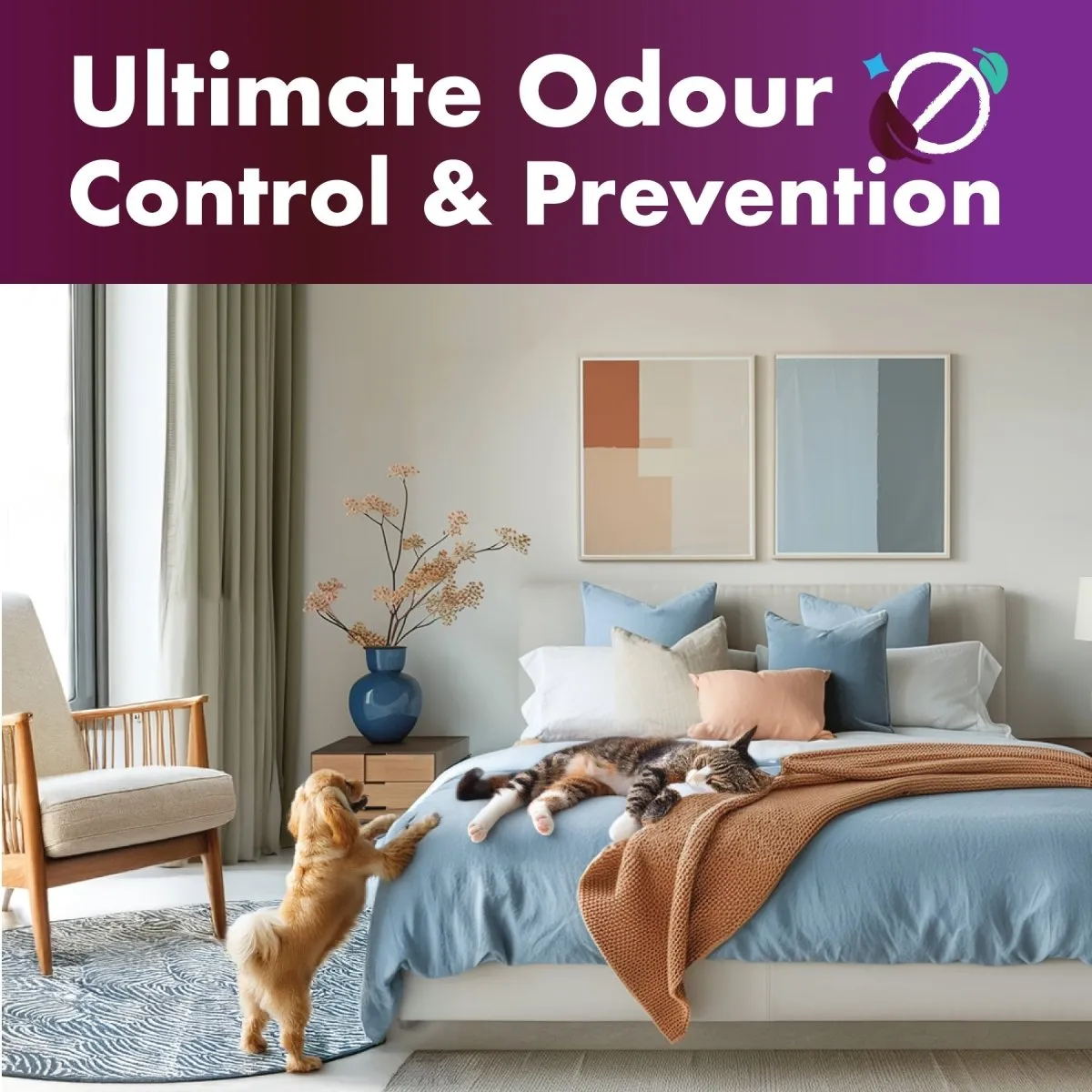 Pet Carpet Cleaner Shampoo Solution, For Odour & Stains (1L)