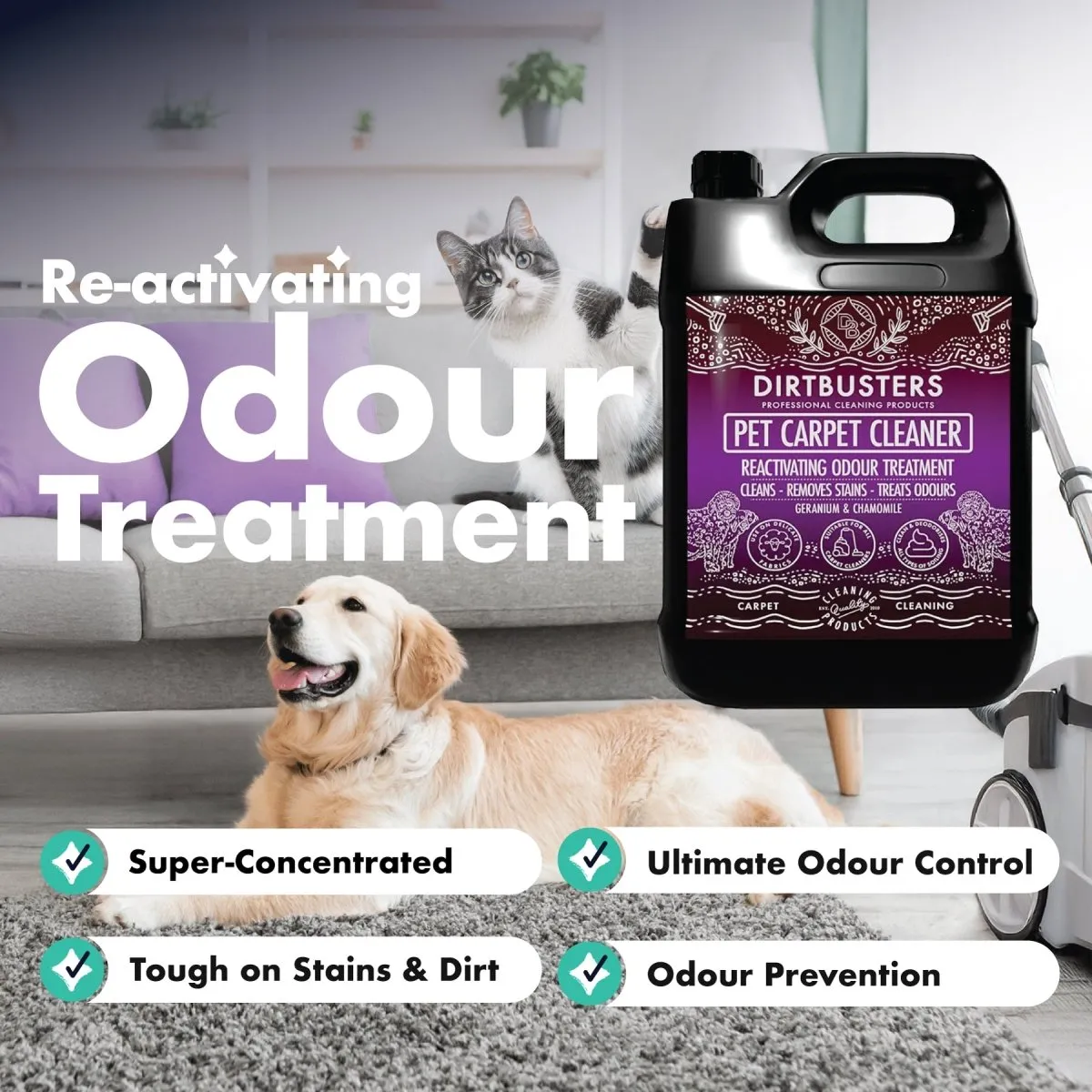 Pet Carpet Cleaner Shampoo Solution, For Odour & Stains (1L)