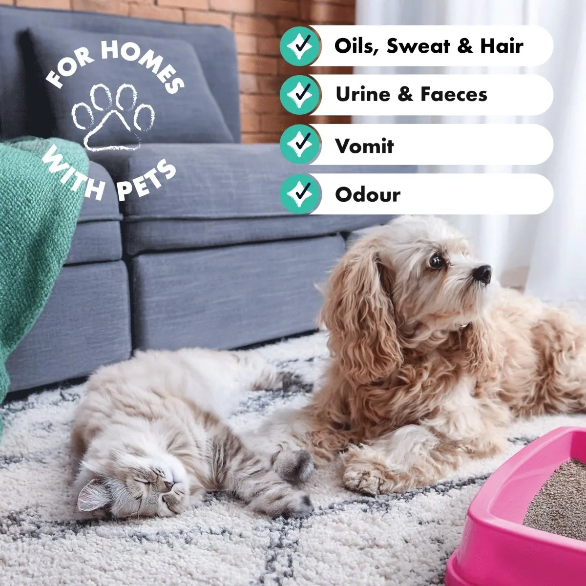 Pet Carpet Cleaner Shampoo Solution, For Odour & Stains (1L)