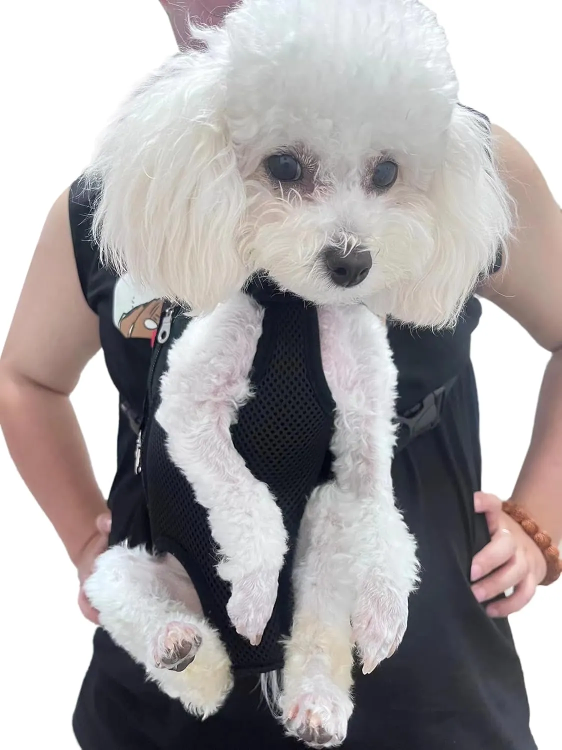 Pet Carrier Backpack - Adjustable Pet Front Cat Dog Carrier Backpack Travel Bag,Legs Out,Easy-Fit for Traveling Hiking Camping for Small Medium Dogs (Black, Large)