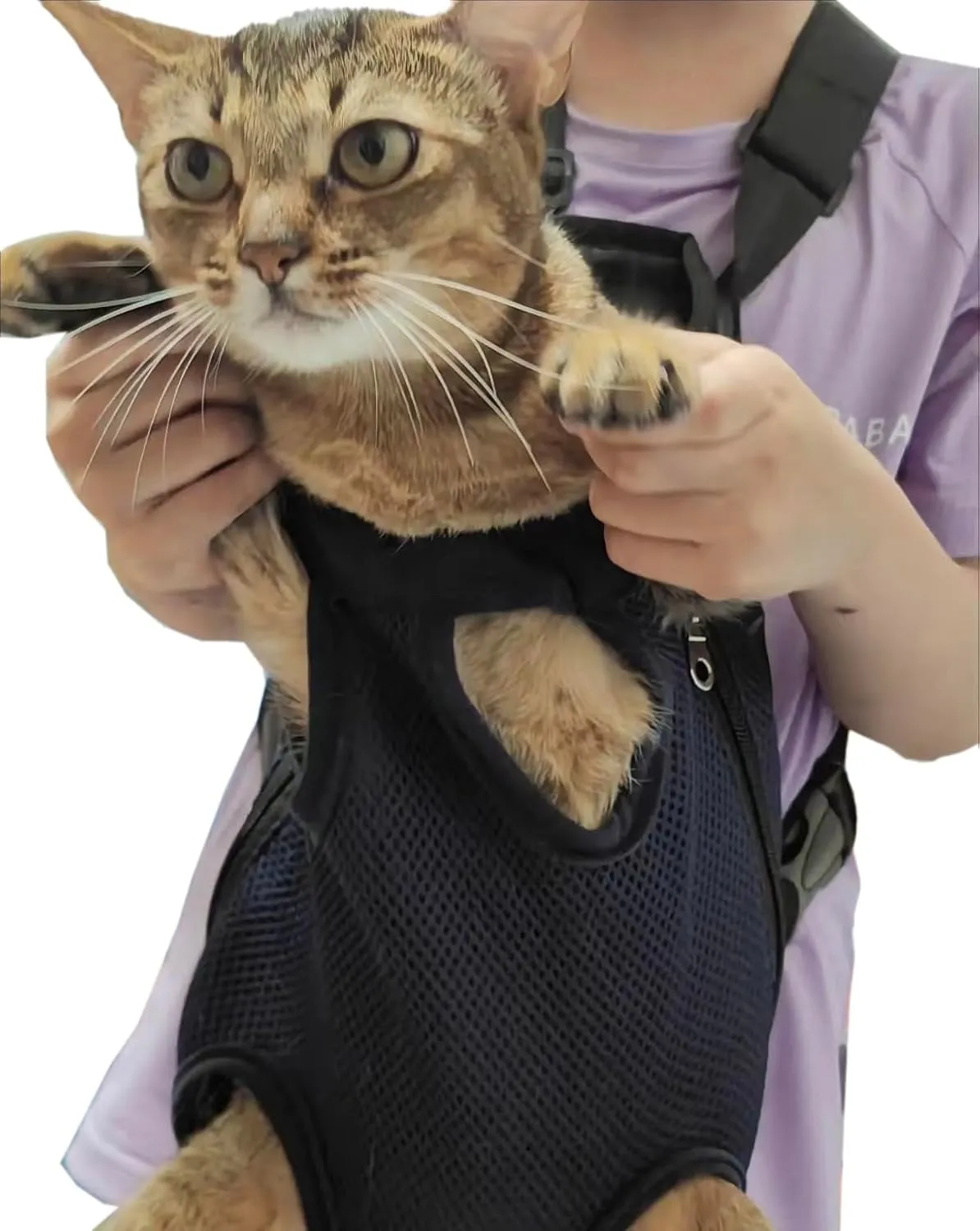 Pet Carrier Backpack - Adjustable Pet Front Cat Dog Carrier Backpack Travel Bag,Legs Out,Easy-Fit for Traveling Hiking Camping for Small Medium Dogs (Black, Large)