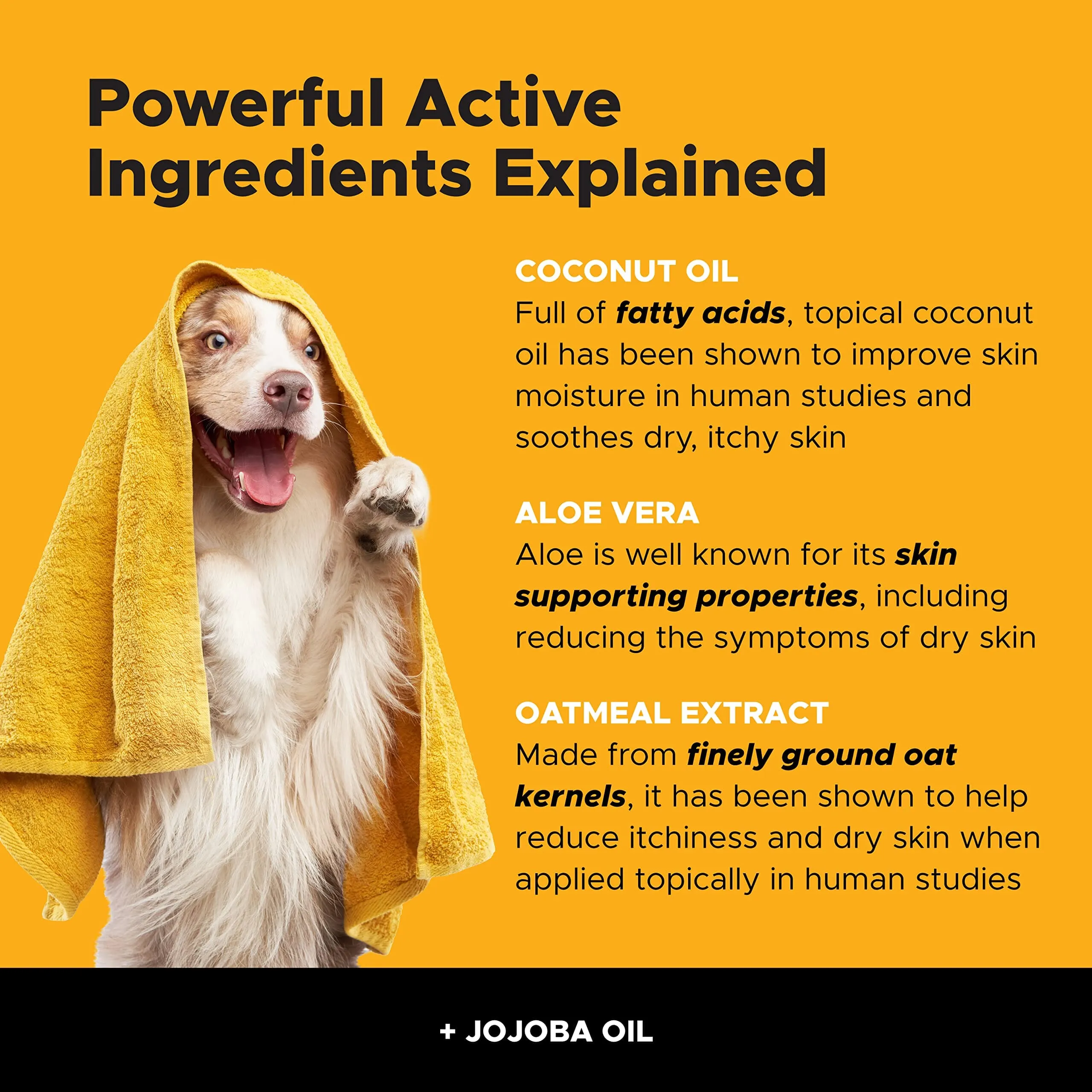 Pet Honesty Allergy Anti-Itch Cat and Dog Shampoo - 16 Oz