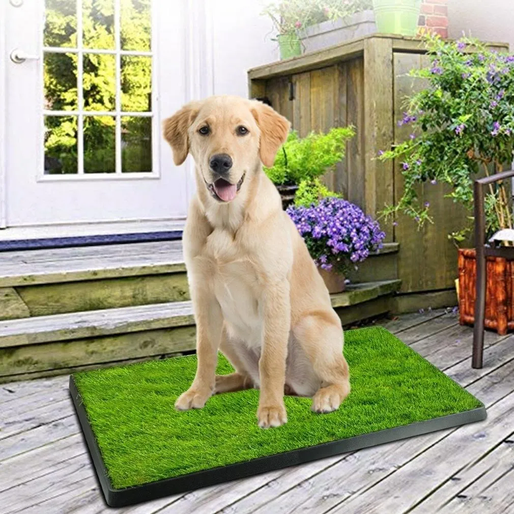 Pet Loo Portable Indoor/Outdoor Pet Potty