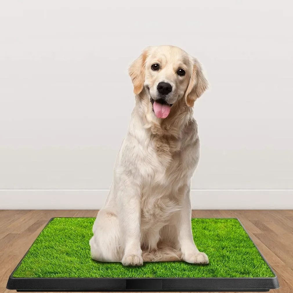 Pet Loo Portable Indoor/Outdoor Pet Potty