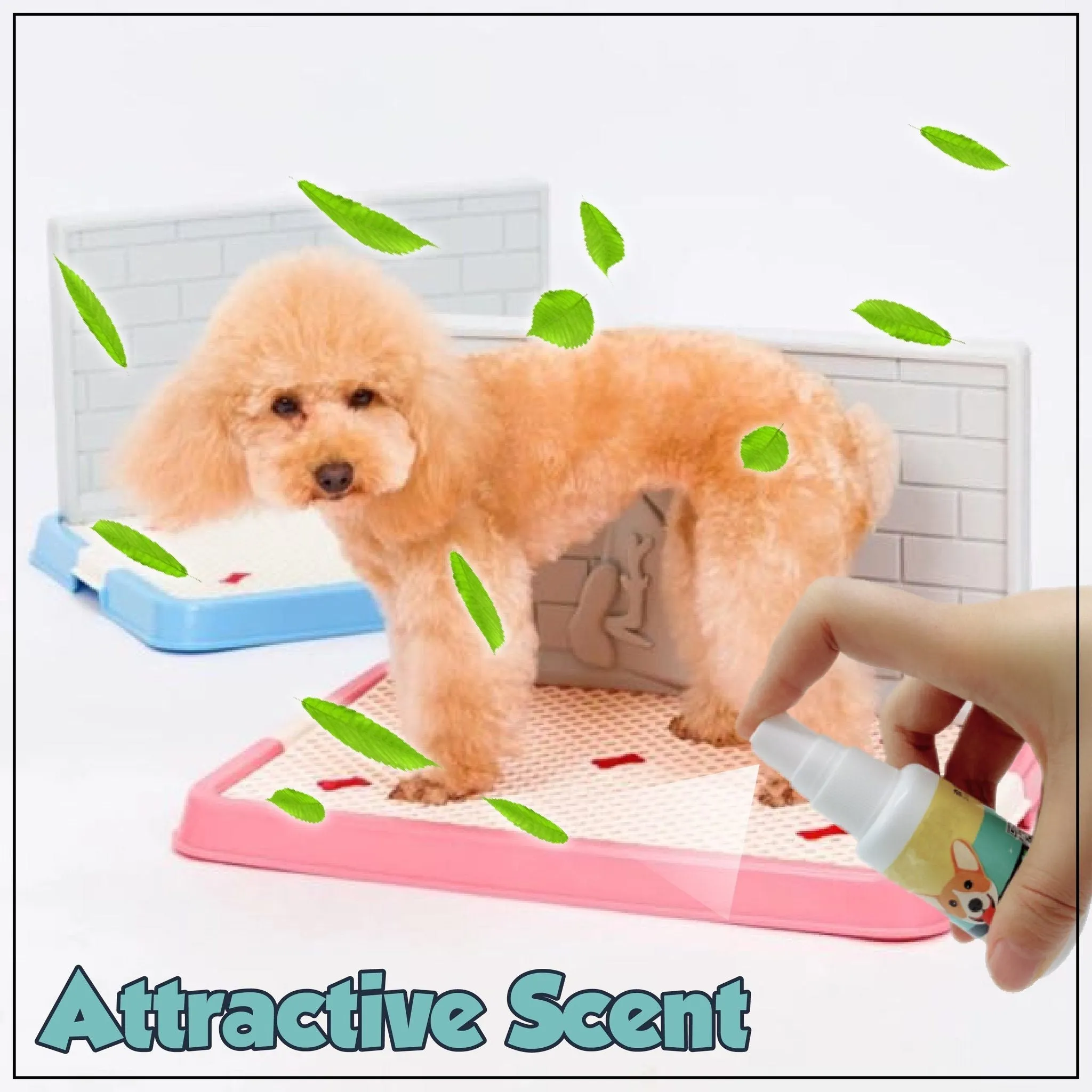 Pet Potty Training Aid