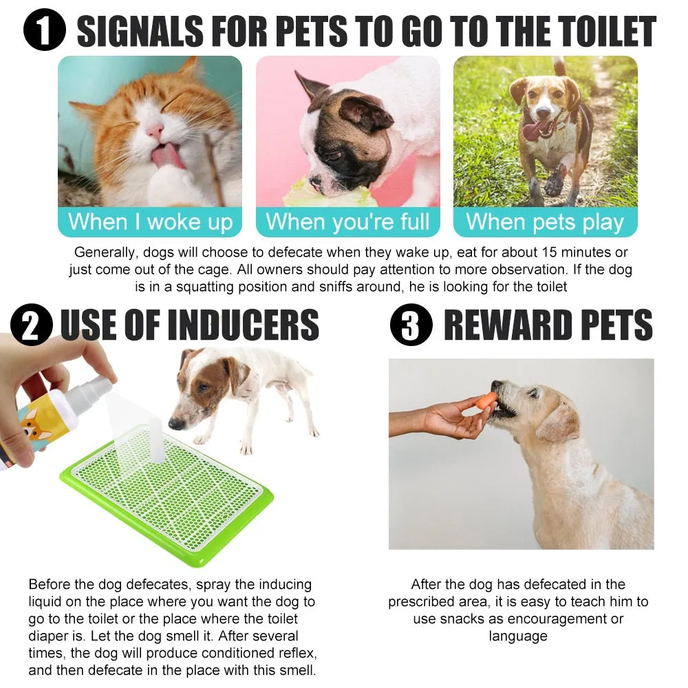 Pet Potty Training Aid
