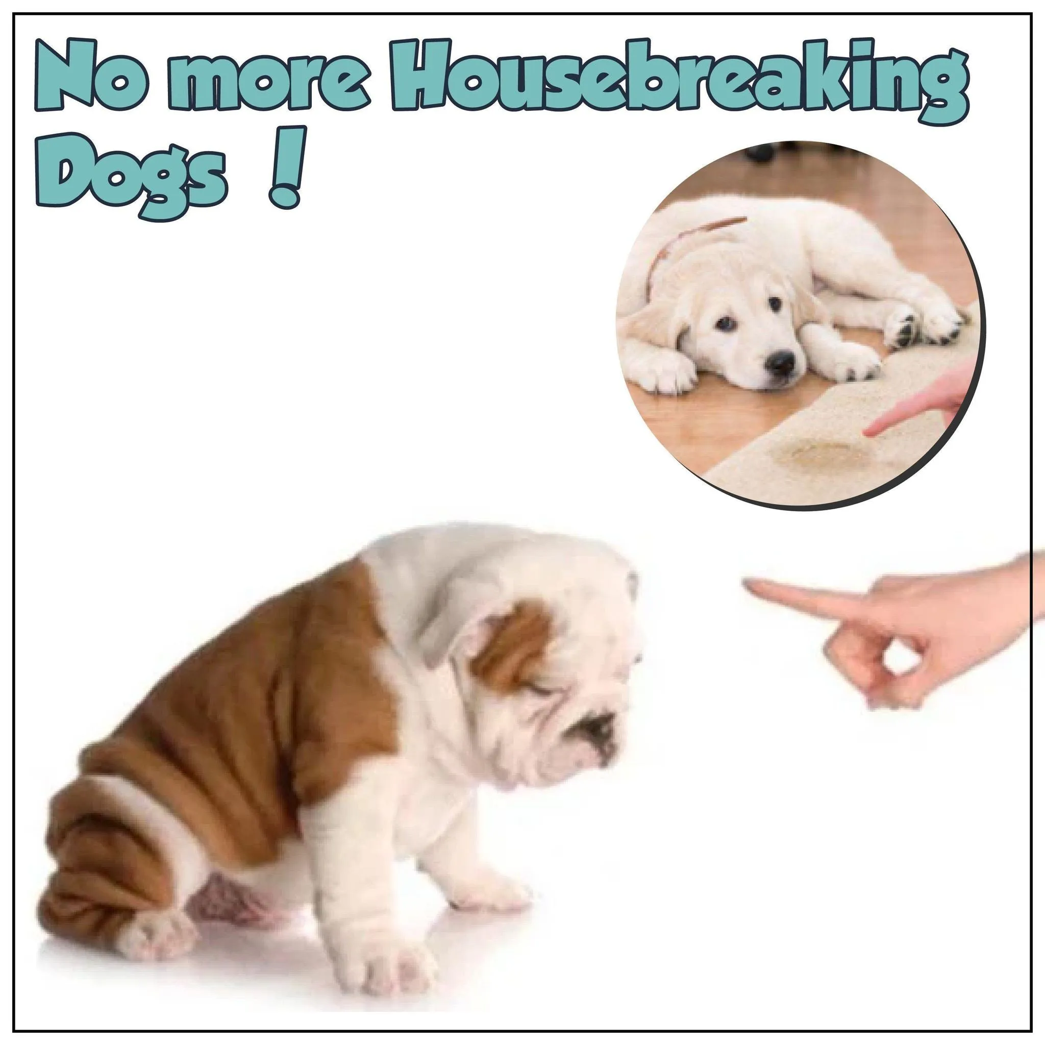Pet Potty Training Aid