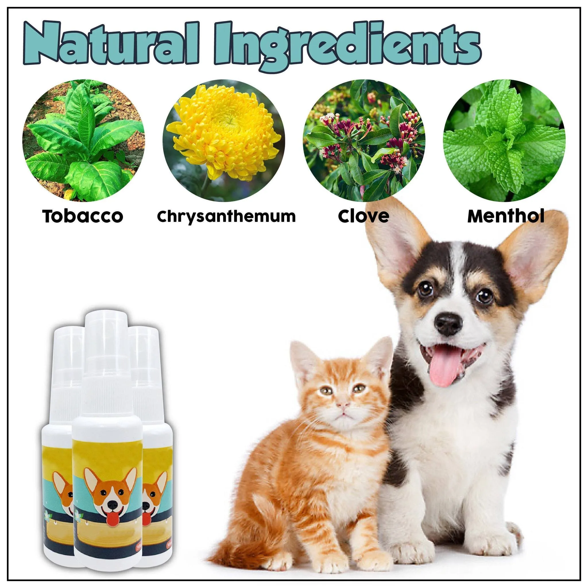 Pet Potty Training Aid