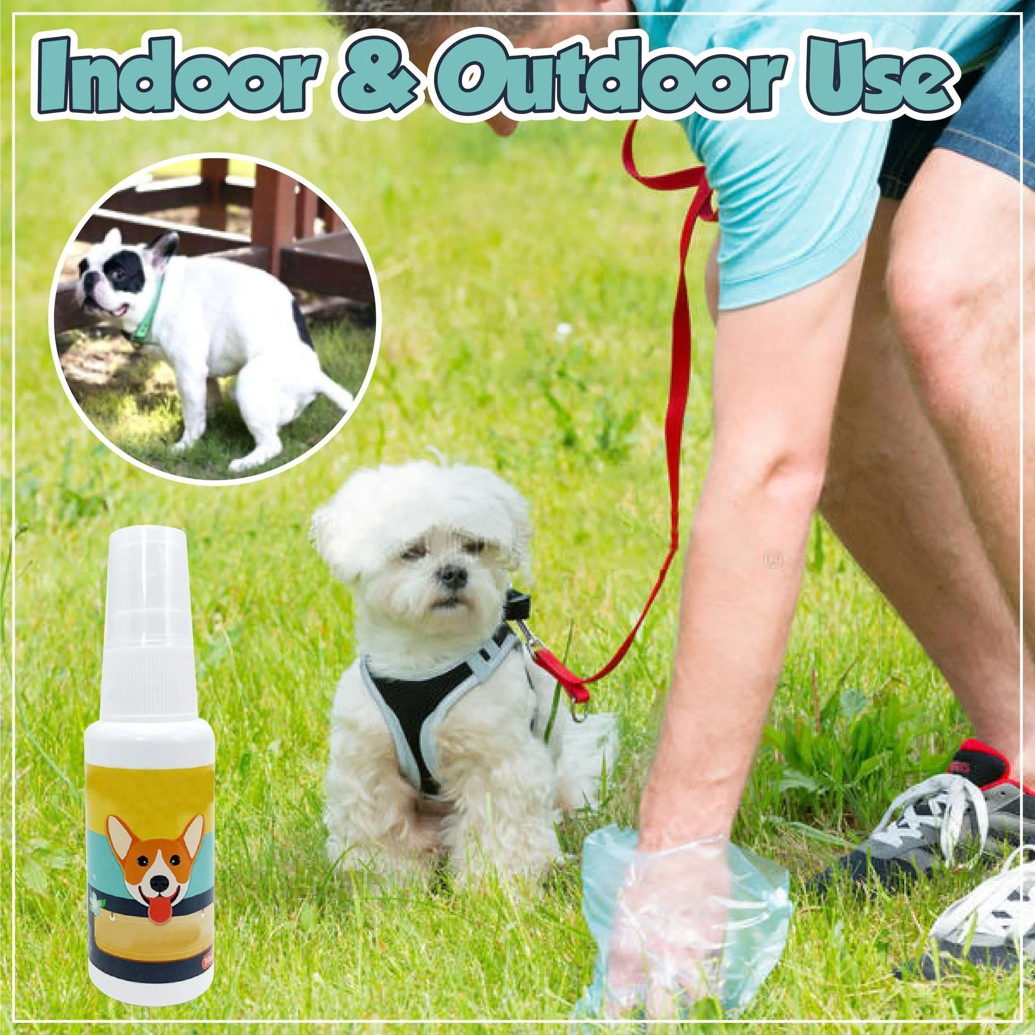 Pet Potty Training Aid
