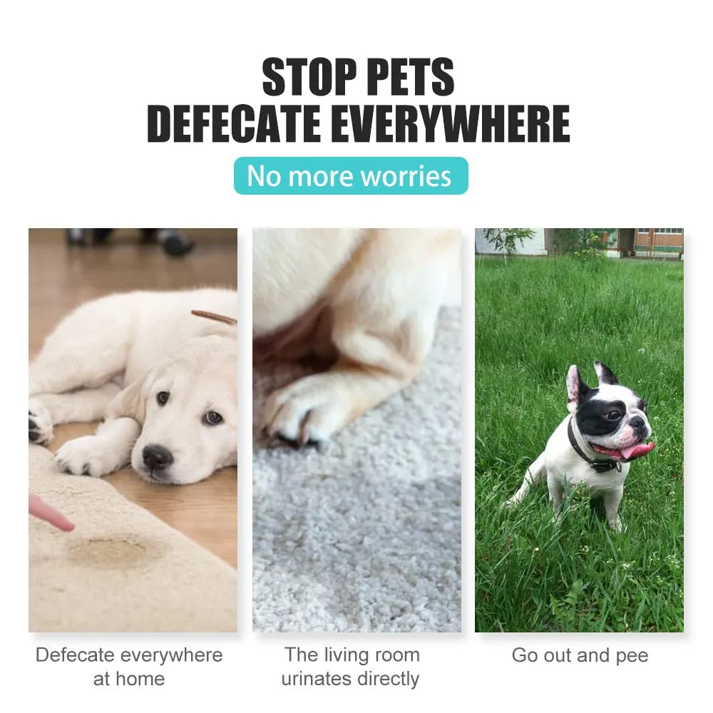 Pet Potty Training Aid