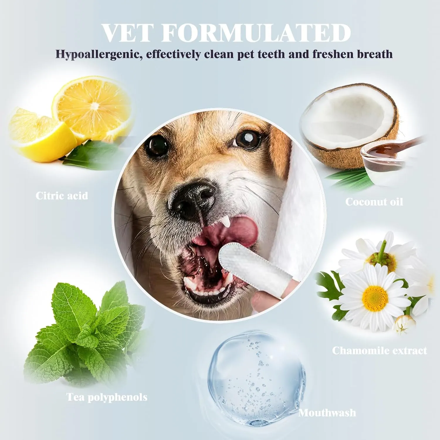 Pet Steam Brush for Dog & Cat  3-in-1 Spray Hair Removal Comb for Shedding & Grooming  Water Brush for Long & Short Haired Pets  Includes Waterless Shampoo & Dental Wipes