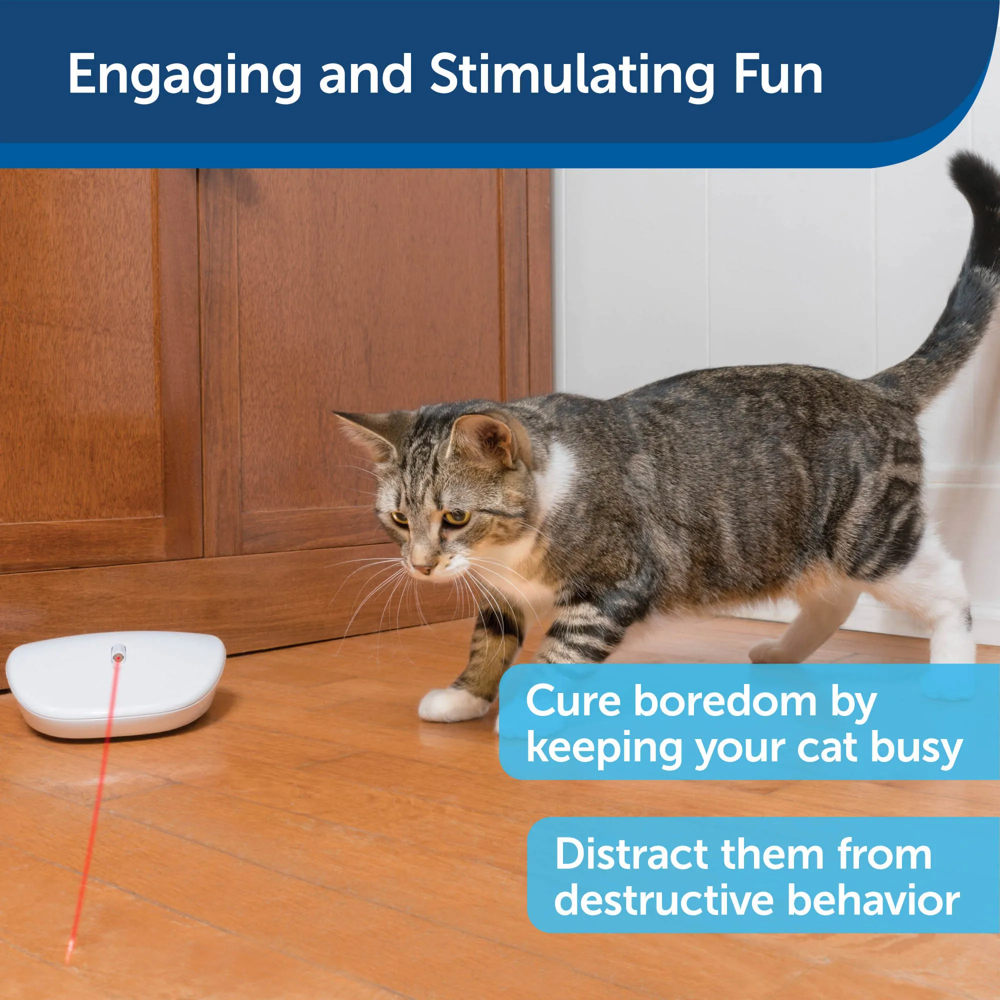 PetSafe® Laser Tail Automatic Laser Light Cat Toy
