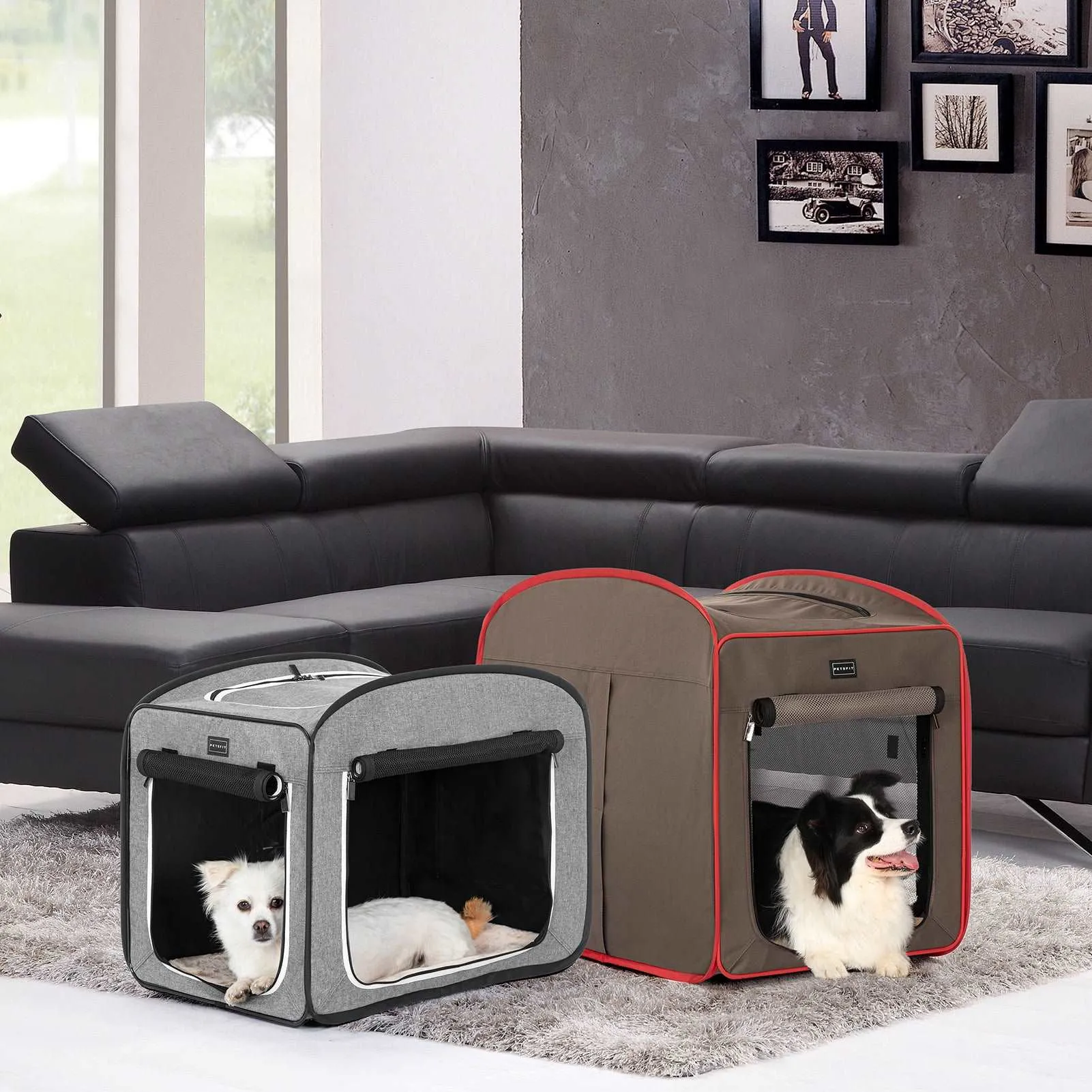 PETSFIT Travel Dog Crate Collapsible Dog Kennel Collapsible