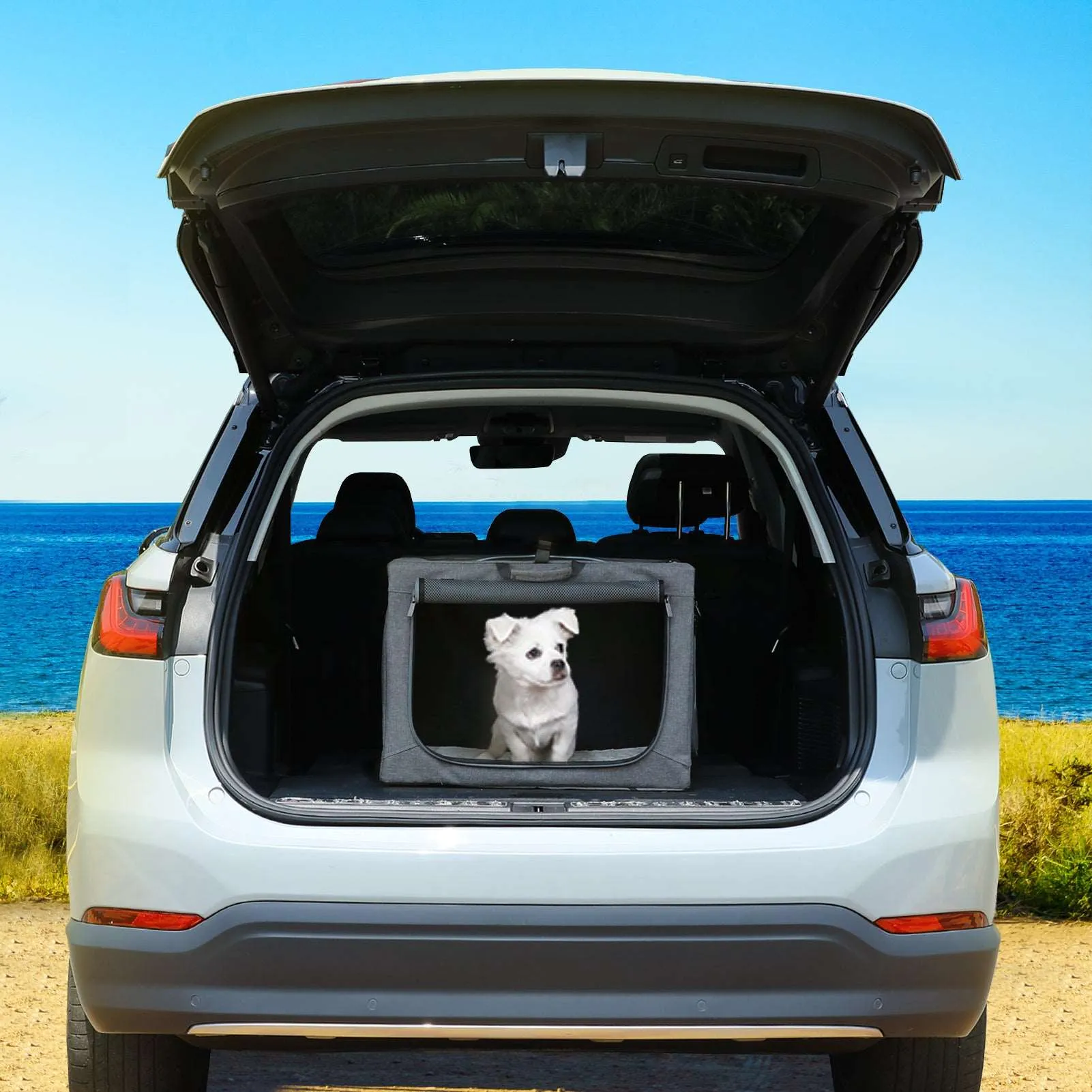 PETSFIT Travel Dog Crate Dog Kennel