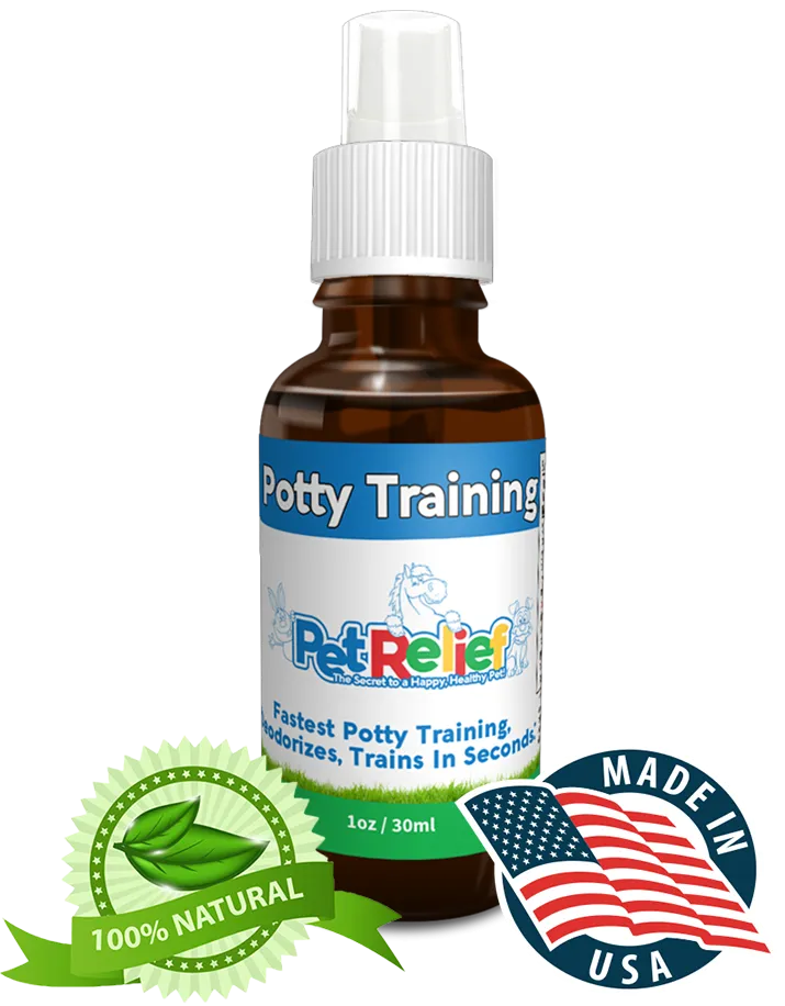 Potty Training