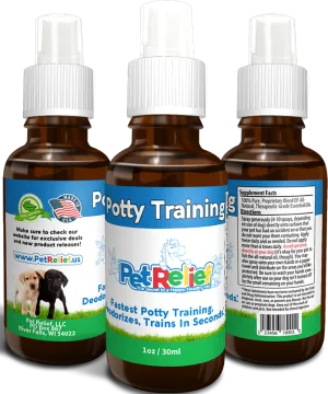 Potty Training