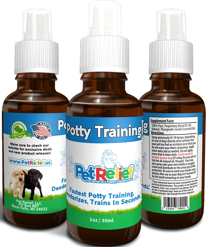 Potty Training