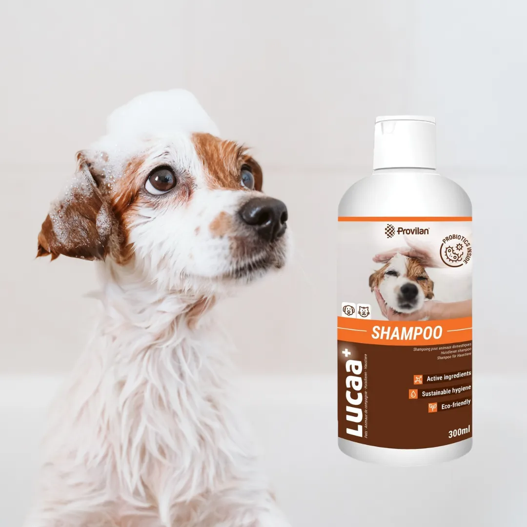 Probiotic Pet Shampoo | Provilan Lucaa 