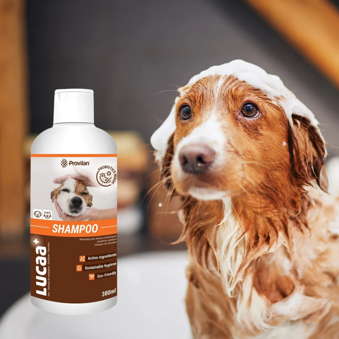 Probiotic Pet Shampoo | Provilan Lucaa 