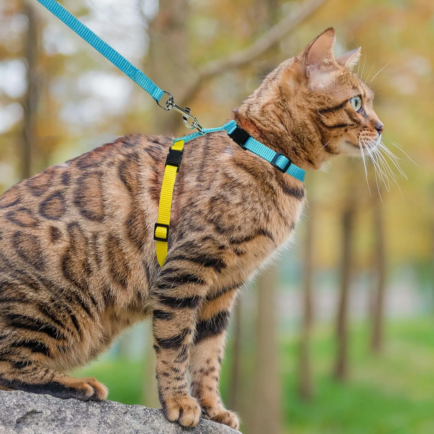 PUPTECK Adjustable Cat Harness and Leash Set Escape Proof Kitten Strap Collar for Walking Travel, Blue Yellow