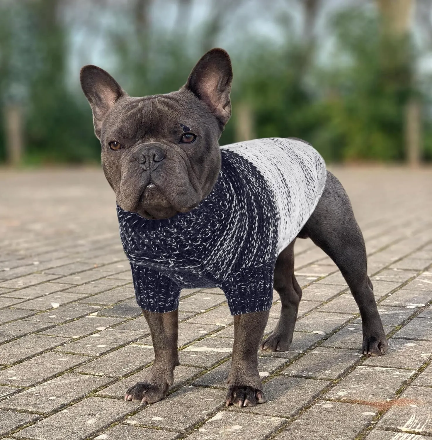 Queenmore Knitted Pullover Dog Sweater, Turtleneck Pet Cat Sweater, Cold Weather Puppy Clothes Stitching Knitwear with Leash Hole for Small Medium DogsDark Blue,S