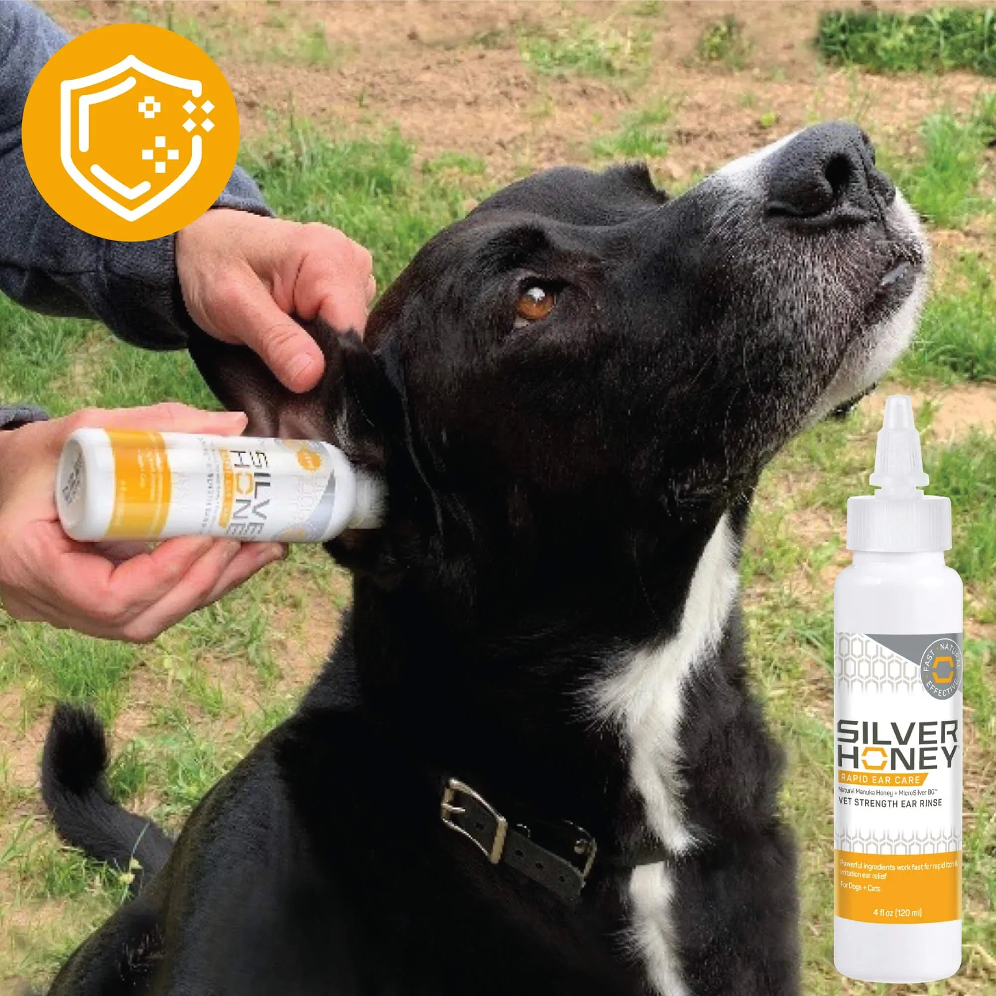Rapid Ear Care Vet Strength Ear Rinse - 4oz.