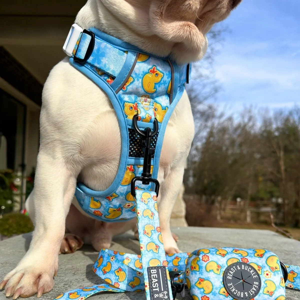 Rubber Ducky No Pull Harness Bundle