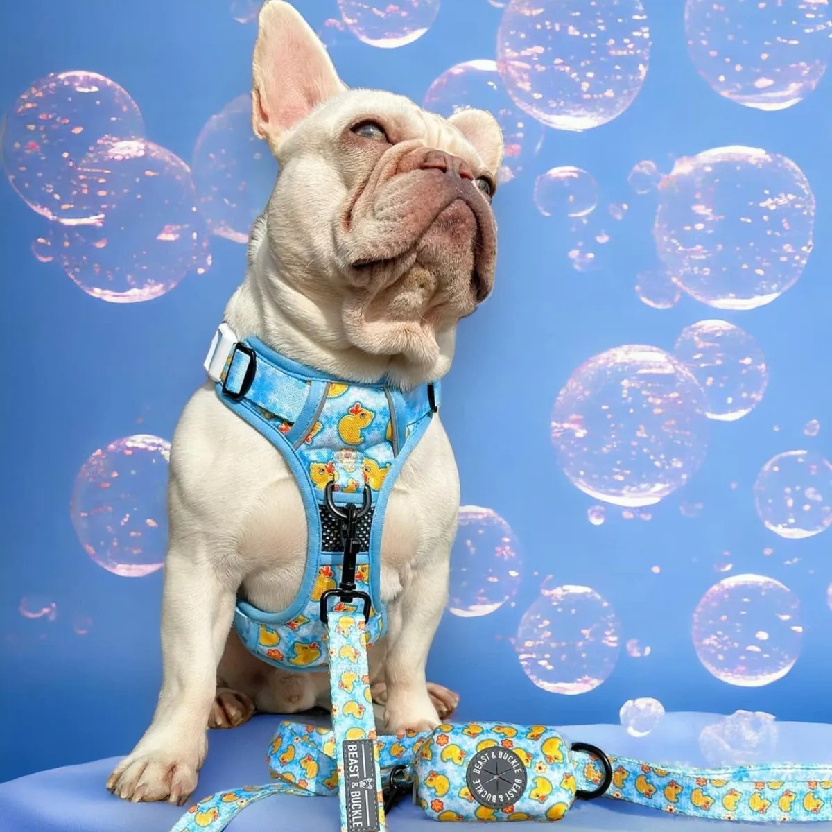 Rubber Ducky No Pull Harness Bundle