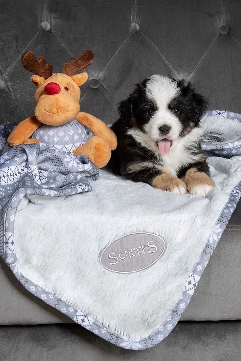 Scruffs Santa Paws Blanket & Toy Set