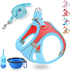 Small Dog Harness,Puppy Harness and Leash Set for Walking Escape Proof,Comfortable Air Mesh Dog Vest Harness with Reflective Strip, Step-in Outdoor Pet Vest for Dog Breeds