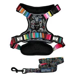 Sugar Skulls No Pull Harness Bundle