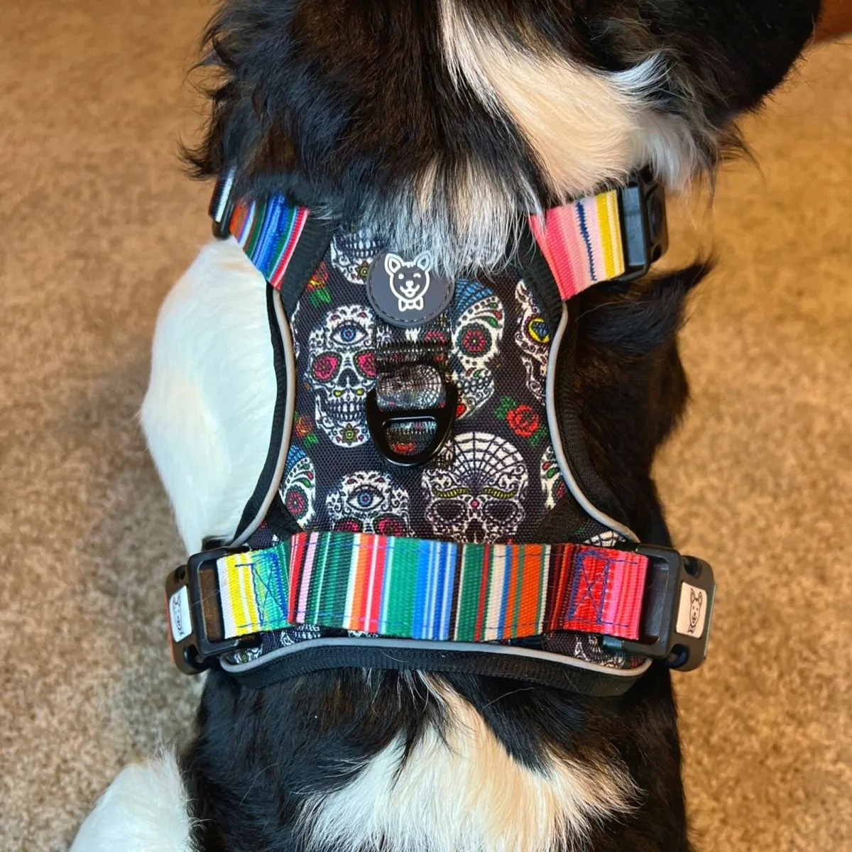 Sugar Skulls No Pull Harness Bundle