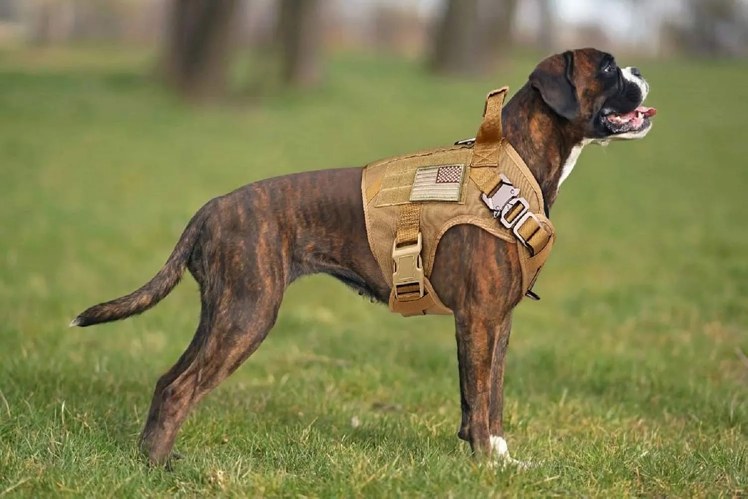 Tactical Dog Harness Vest Escape Proof Harness Military Vest No Pulling K9 Working Training Pet Vest for Medium Large Dogs(M) Army Yellow