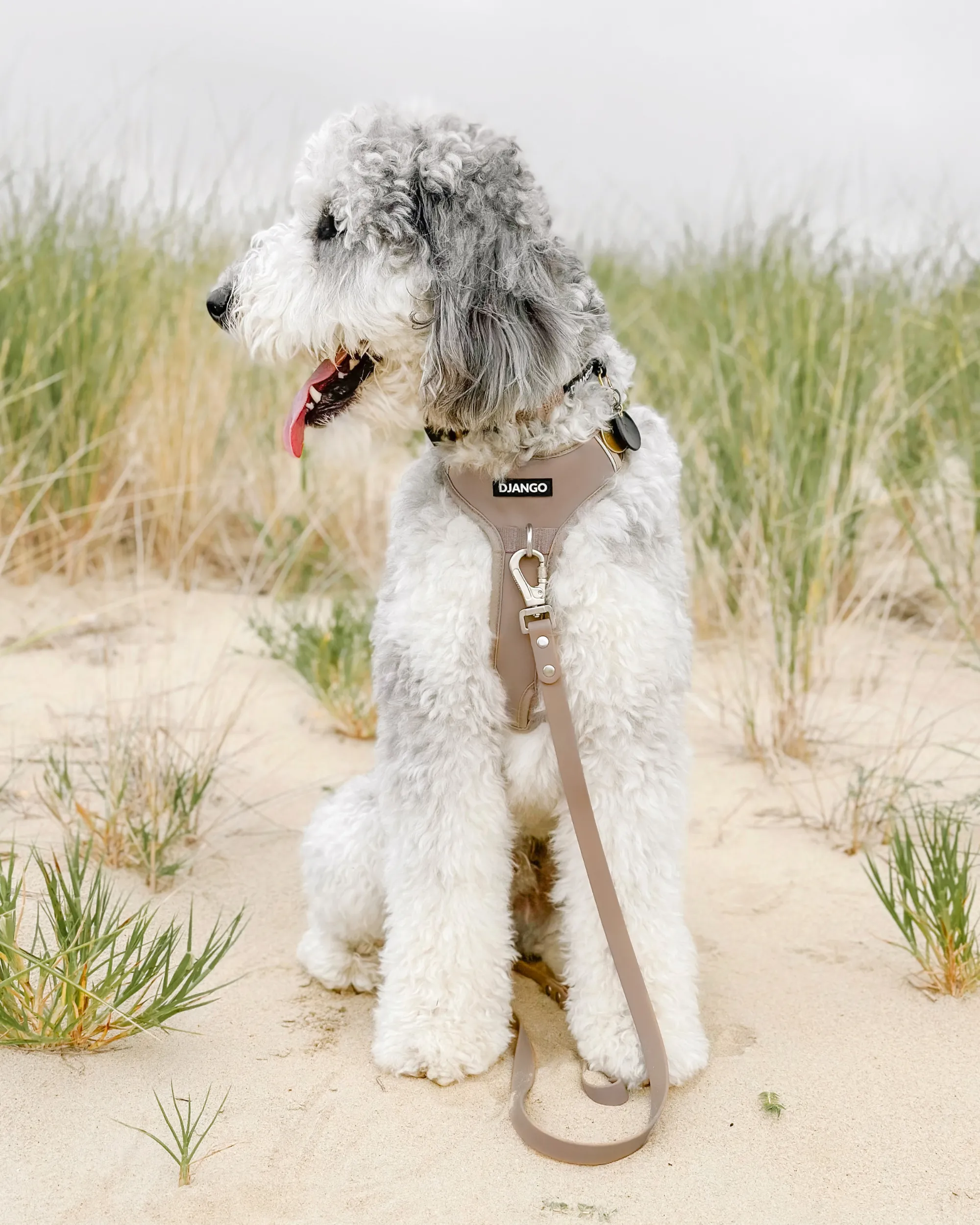 Tahoe No Pull Dog Harness