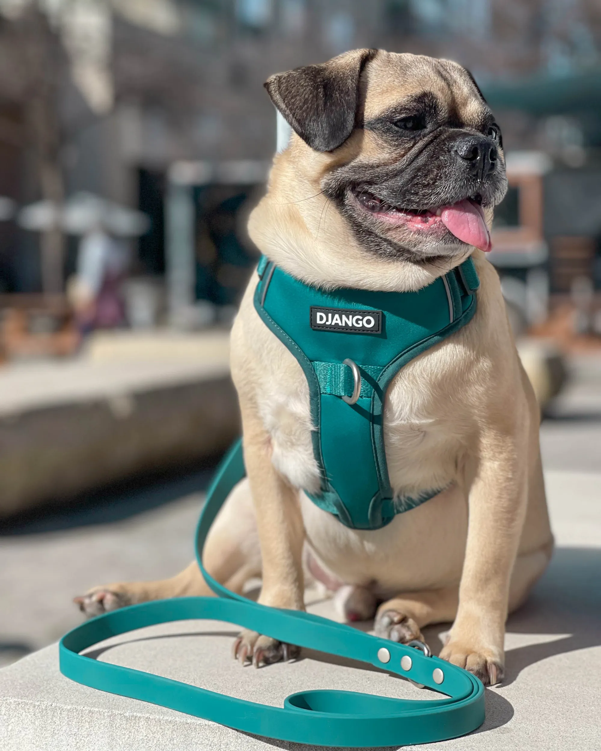 Tahoe No Pull Dog Harness